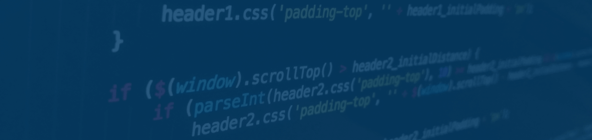 Software Development